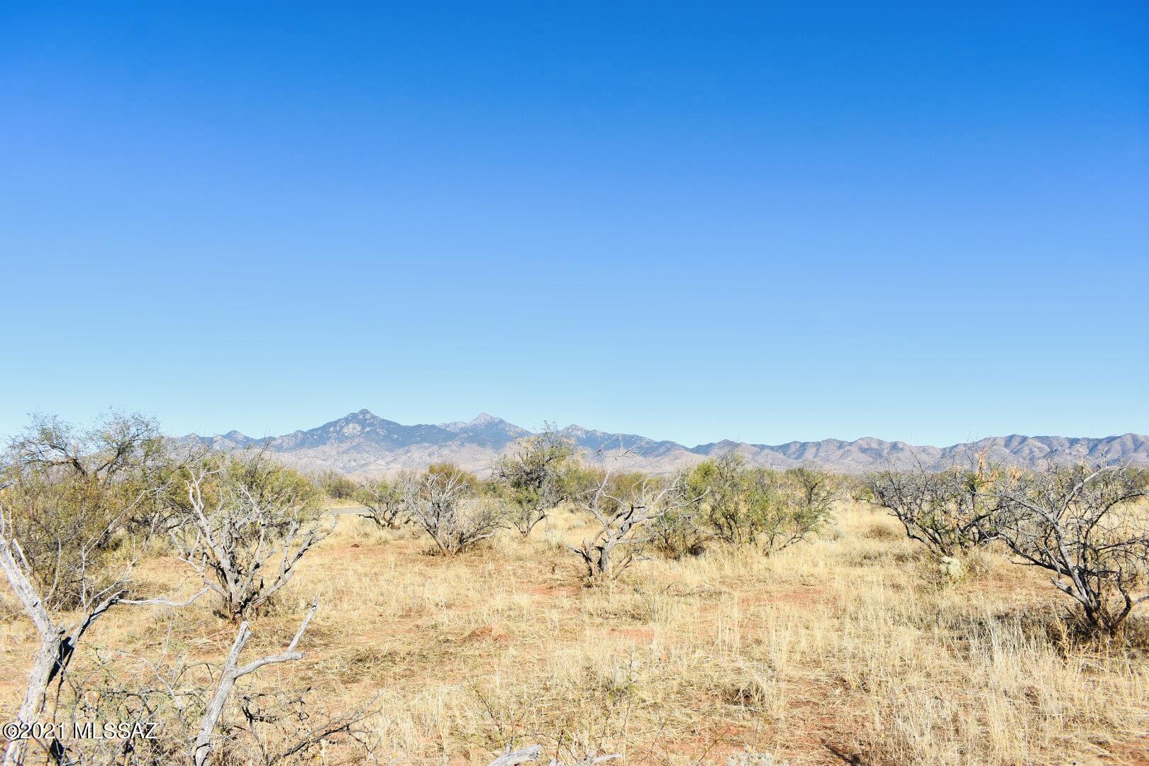 395 Camino Josefina, Unit D Rio Rico, AZ 85648 - Photo 4 of 7