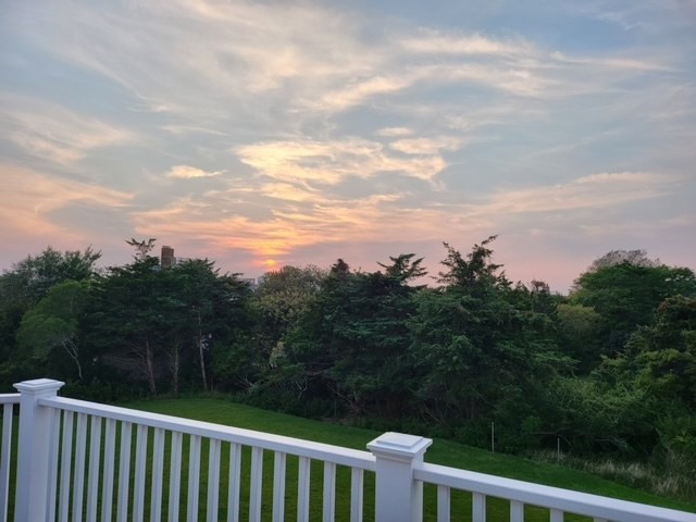 63 Monomoy Road Nantucket, MA 02554 - Photo 34 of 35 a view of a yard with a swing