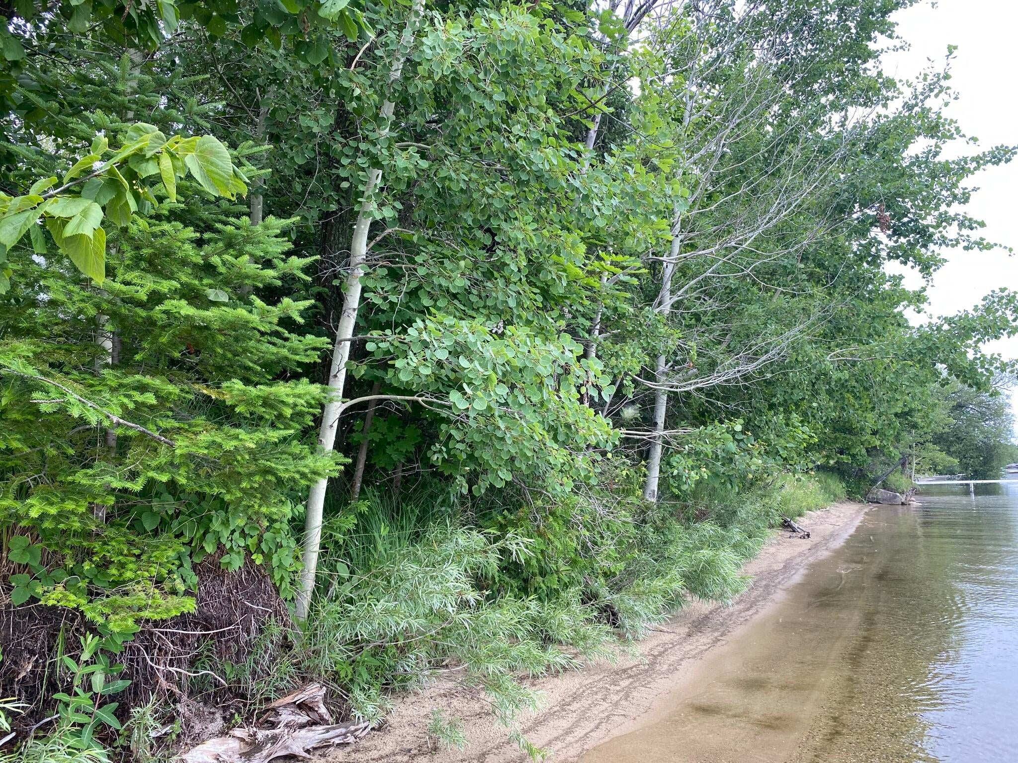 7351 McDonald Road Cheboygan, MI 49721 - Photo 10 of 12 Gallery Image 10