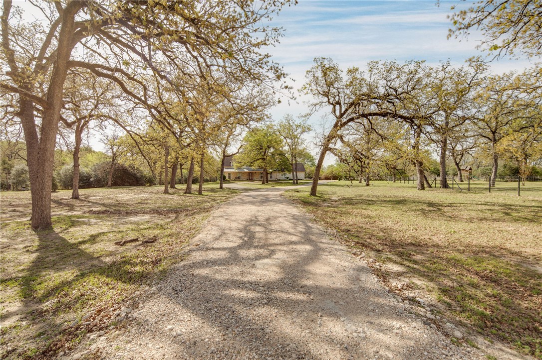 209 Ranchette Court Bryan, TX 77808 - Photo 3 of 37 a view of outdoor space with trees