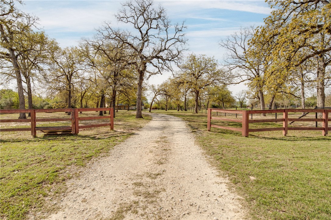 209 Ranchette Court Bryan, TX 77808 - Photo 5 of 37 a view of park with large trees