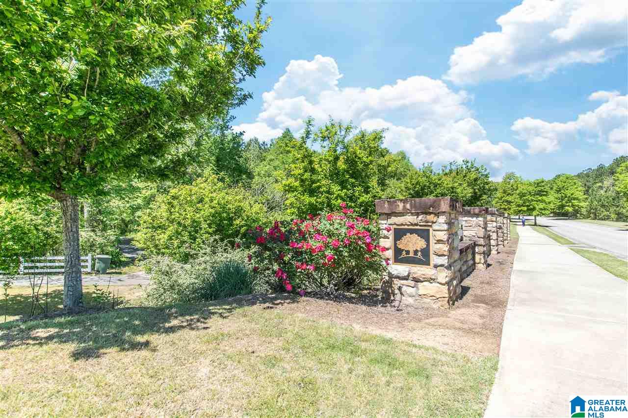 249 Appleford Road Helena, AL 35080 - Photo 46 of 46