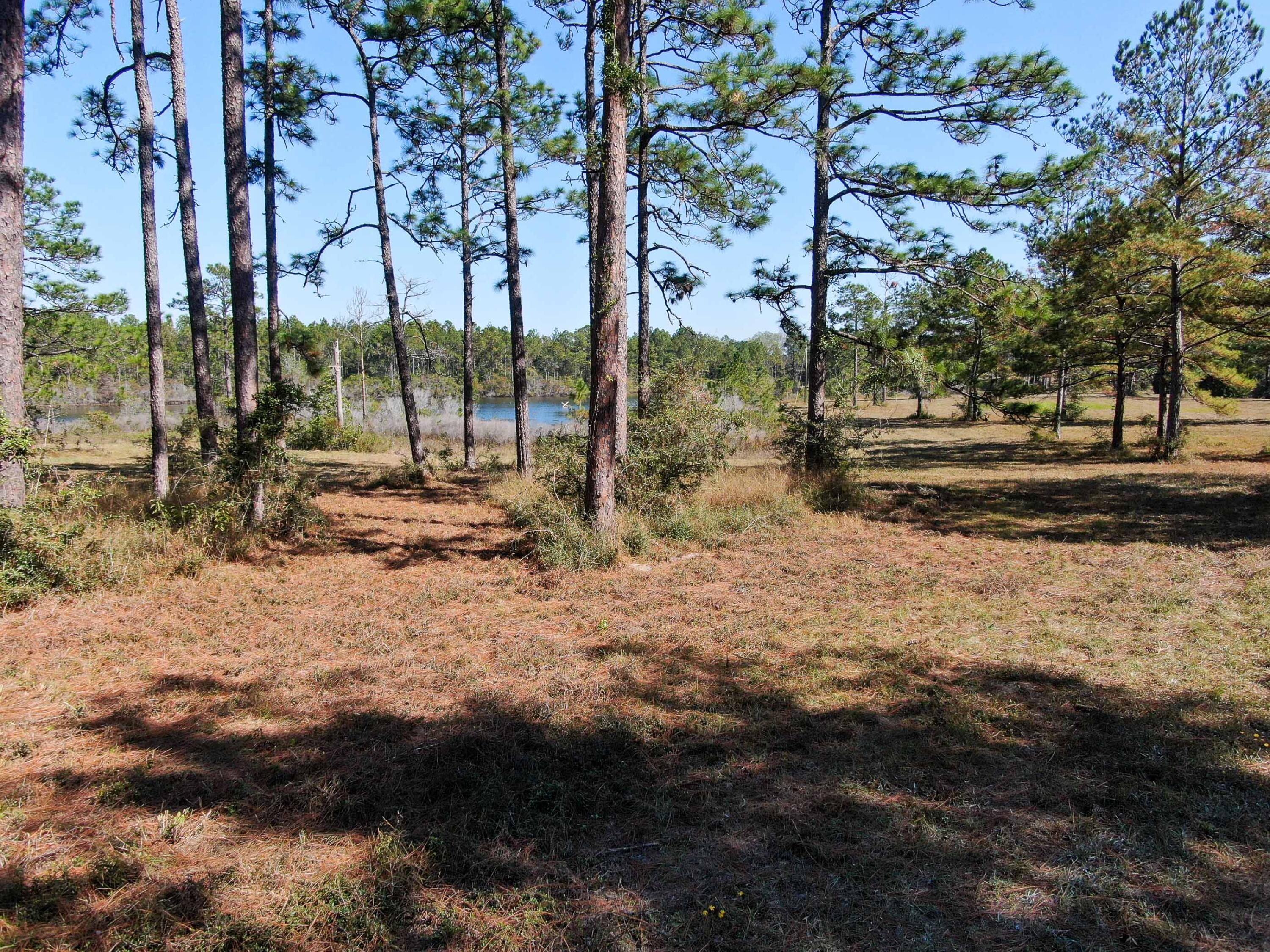 441 Charlie Garrett Road DeFuniak Springs, FL 32435 - Photo 11 of 35 DJI_0086