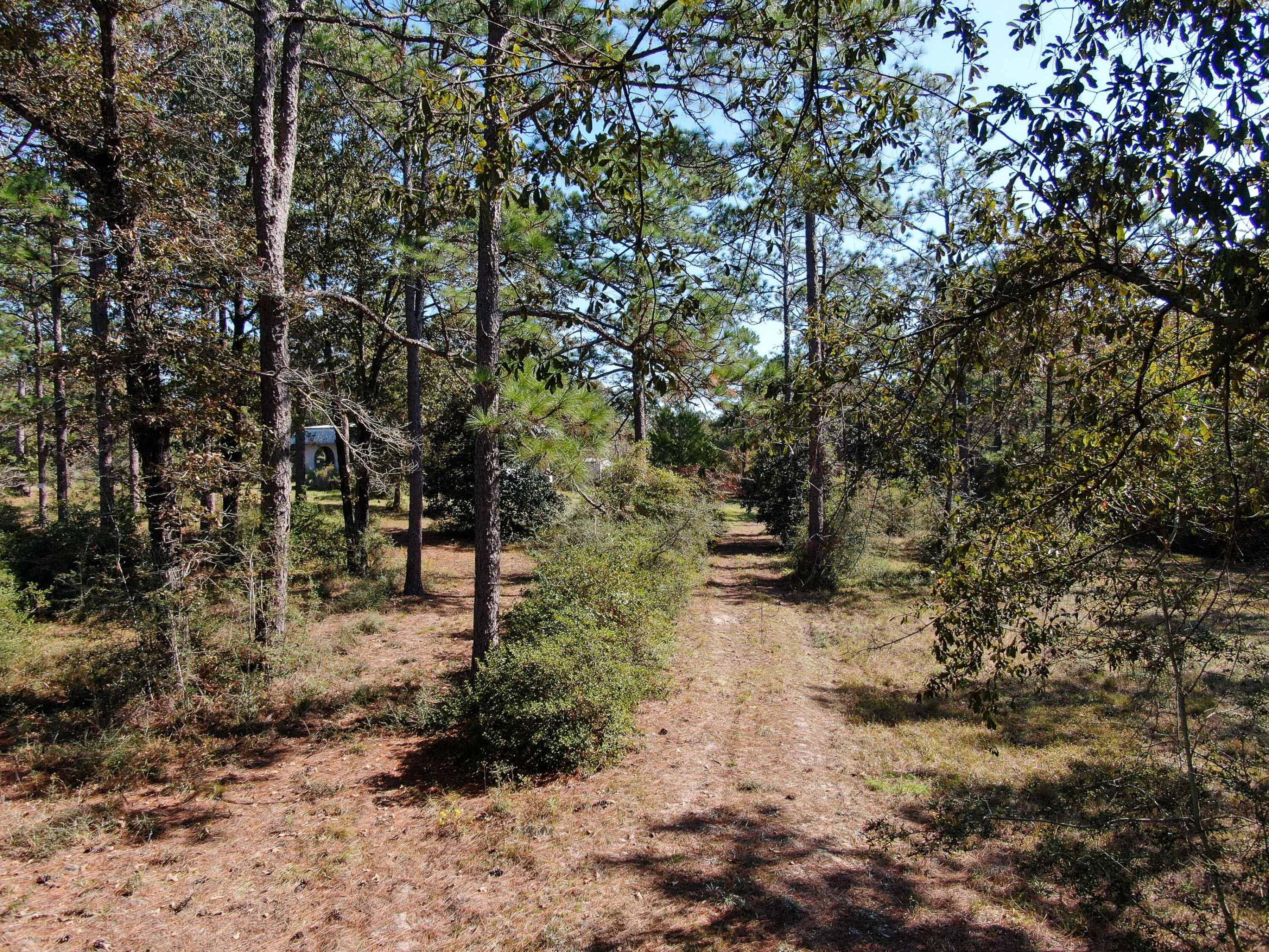 441 Charlie Garrett Road DeFuniak Springs, FL 32435 - Photo 12 of 35 DJI_0920