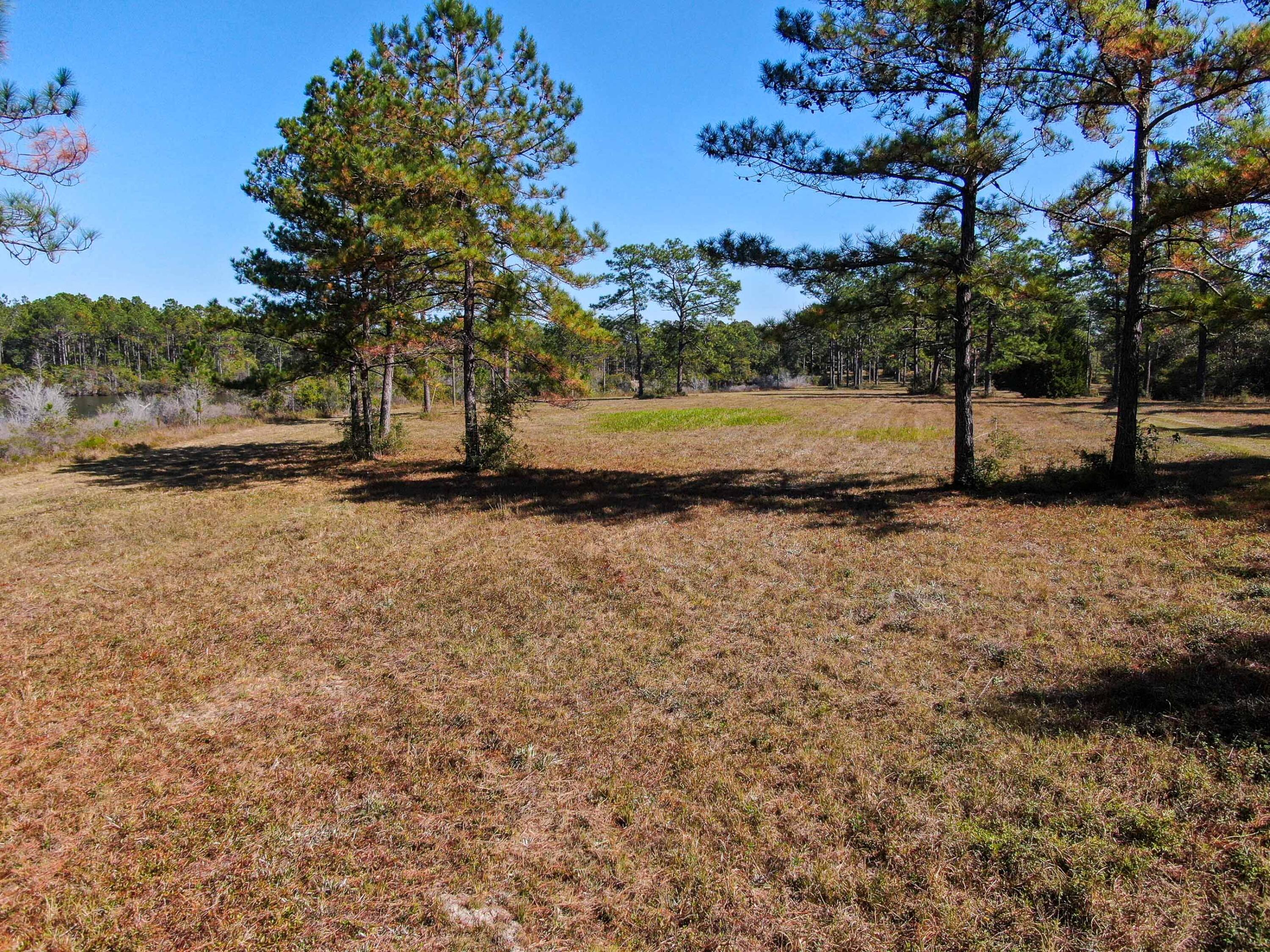 441 Charlie Garrett Road DeFuniak Springs, FL 32435 - Photo 13 of 35 DJI_0098