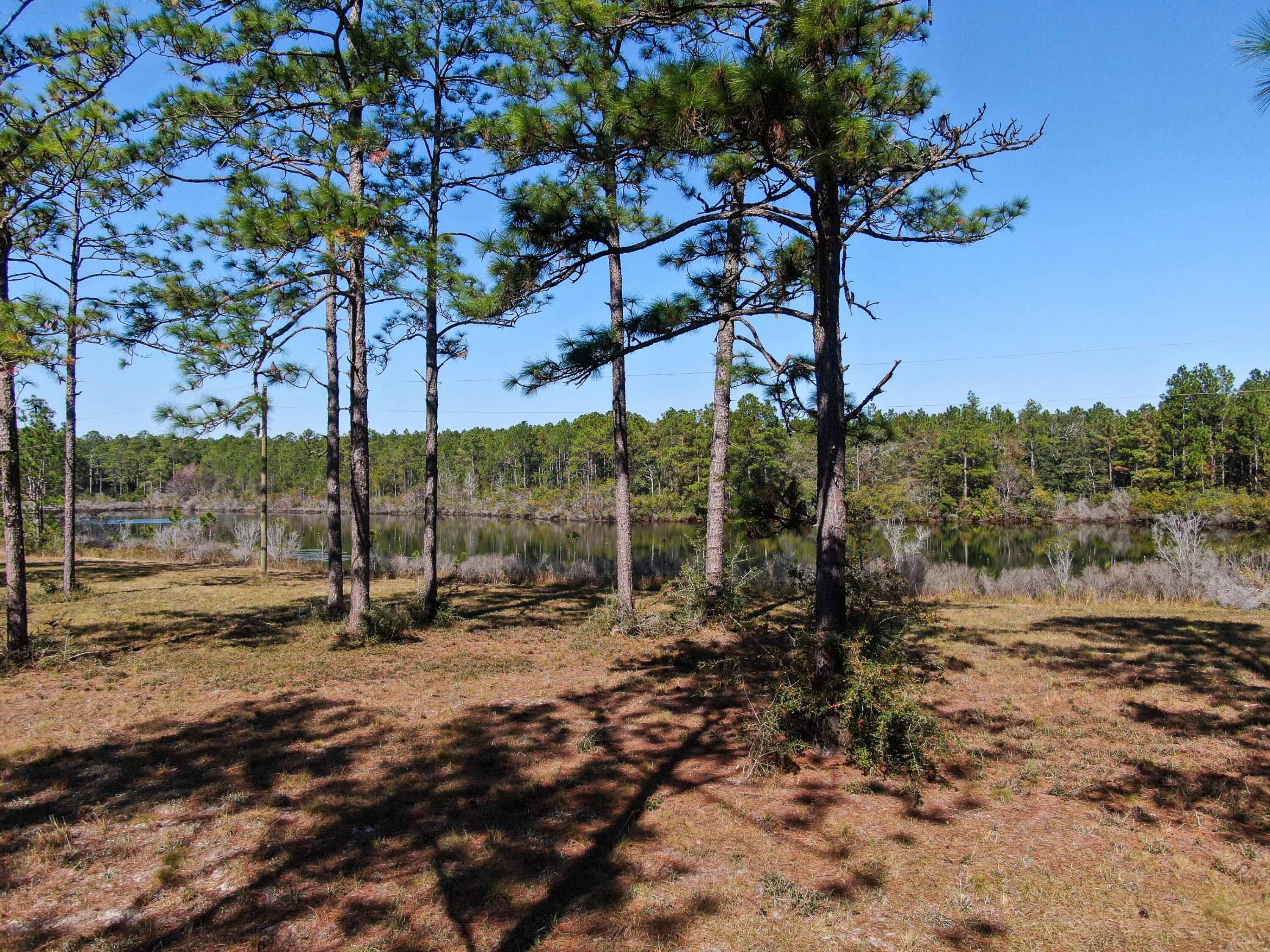 441 Charlie Garrett Road DeFuniak Springs, FL 32435 - Photo 15 of 35 DJI_0995
