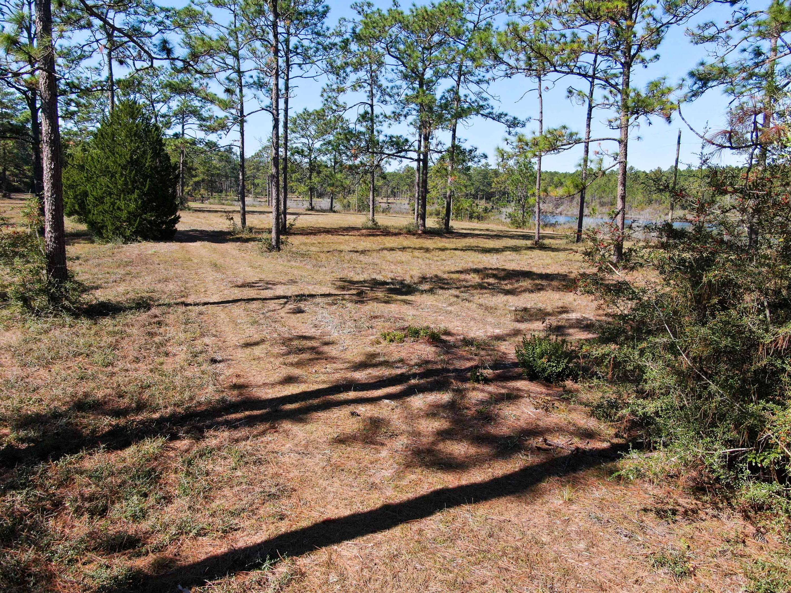 441 Charlie Garrett Road DeFuniak Springs, FL 32435 - Photo 17 of 35 DJI_0107