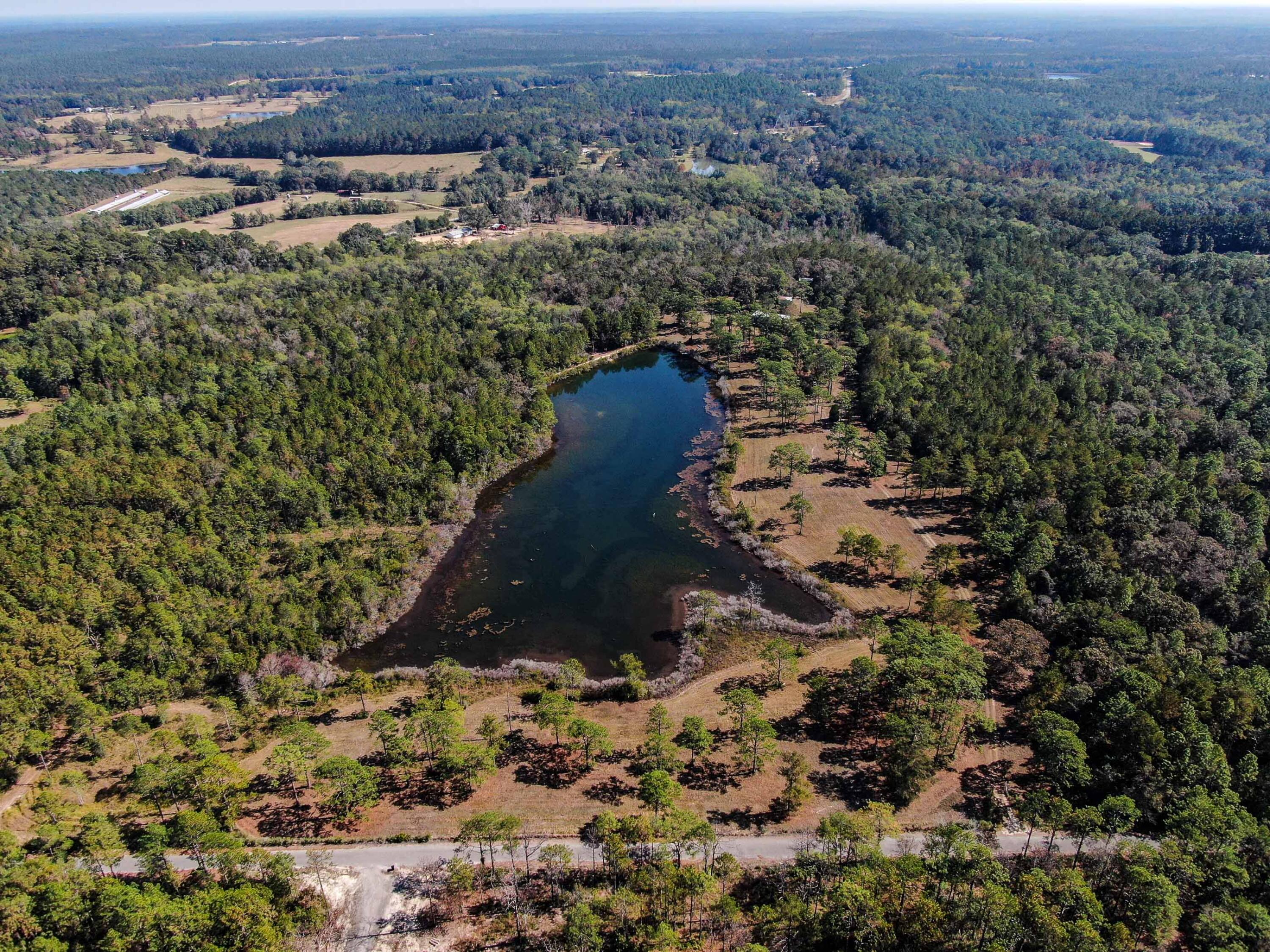 441 Charlie Garrett Road DeFuniak Springs, FL 32435 - Photo 18 of 35 DJI_0983