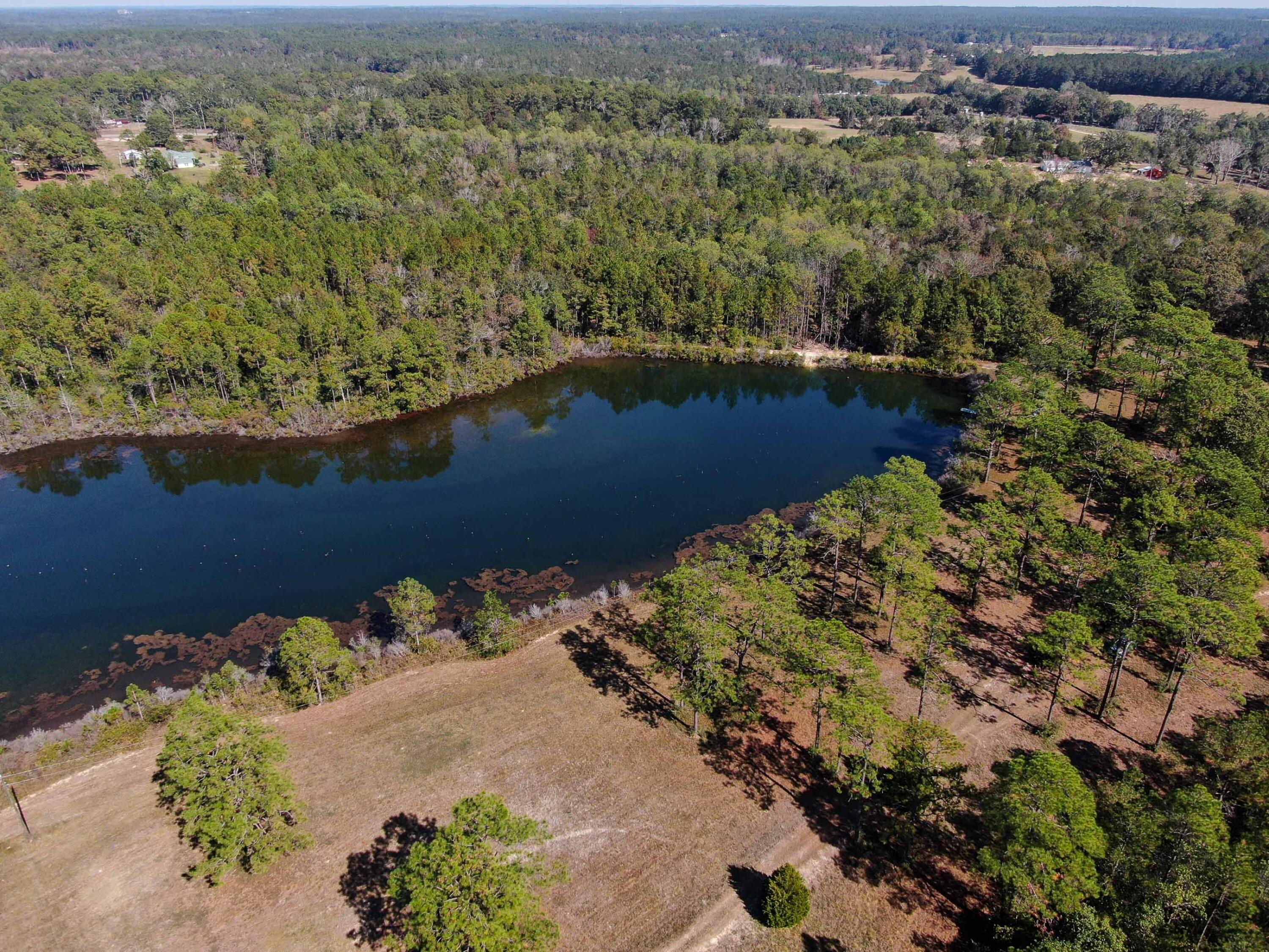 441 Charlie Garrett Road DeFuniak Springs, FL 32435 - Photo 20 of 35 DJI_0992