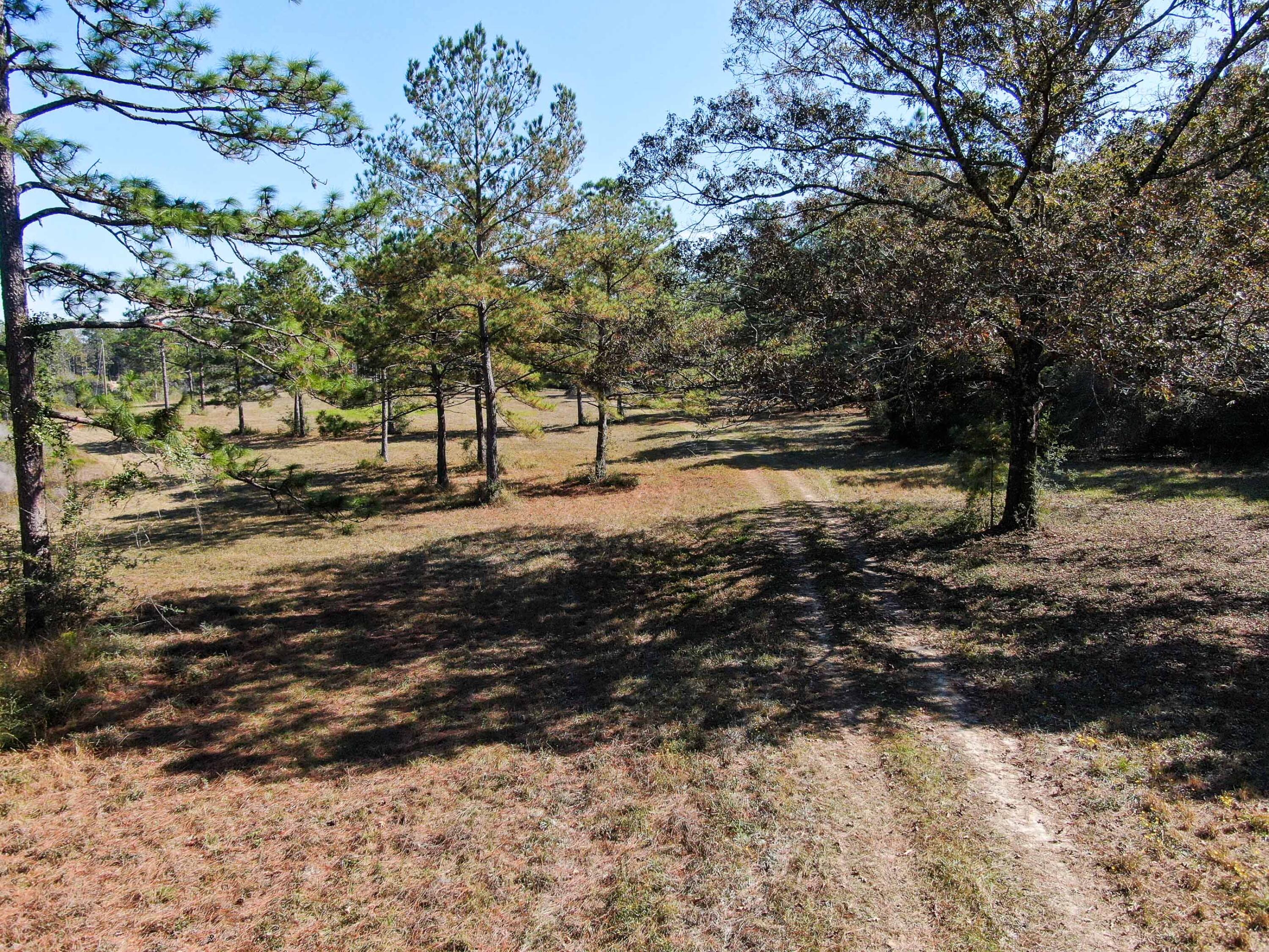 441 Charlie Garrett Road DeFuniak Springs, FL 32435 - Photo 2 of 35 DJI_0092