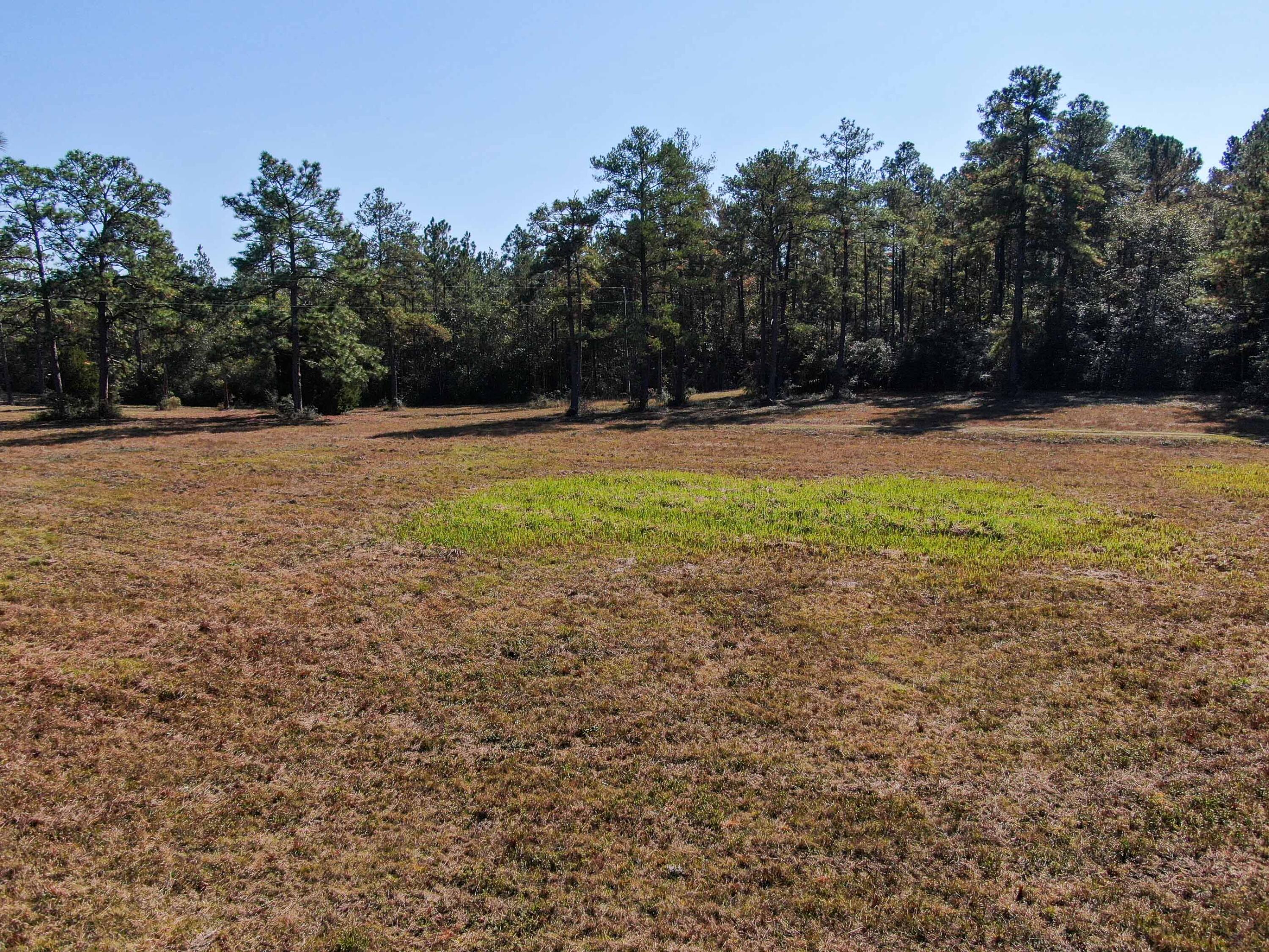 441 Charlie Garrett Road DeFuniak Springs, FL 32435 - Photo 24 of 35 DJI_0104