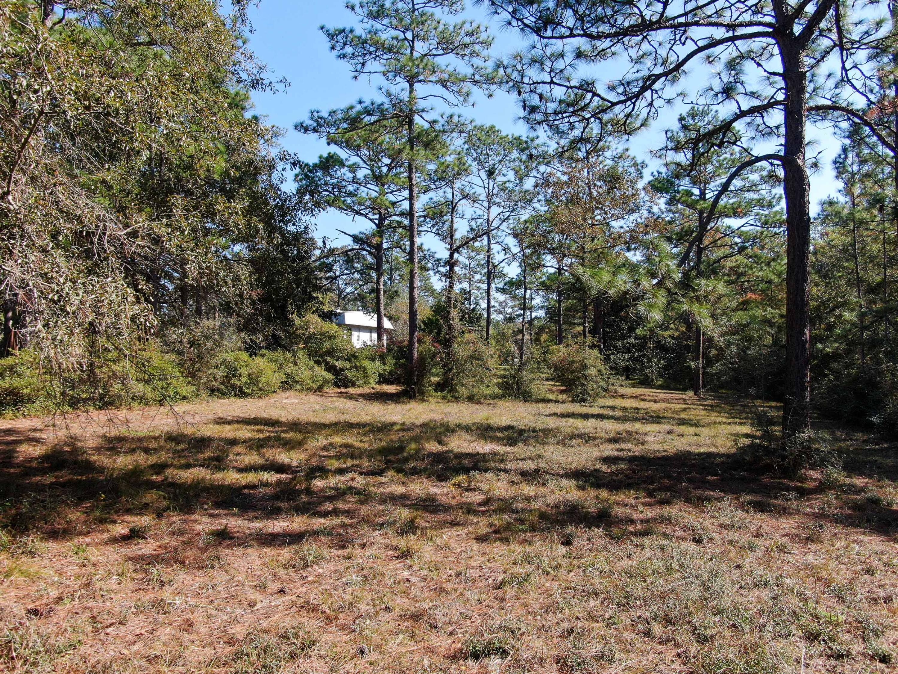 441 Charlie Garrett Road DeFuniak Springs, FL 32435 - Photo 26 of 35 DJI_0923
