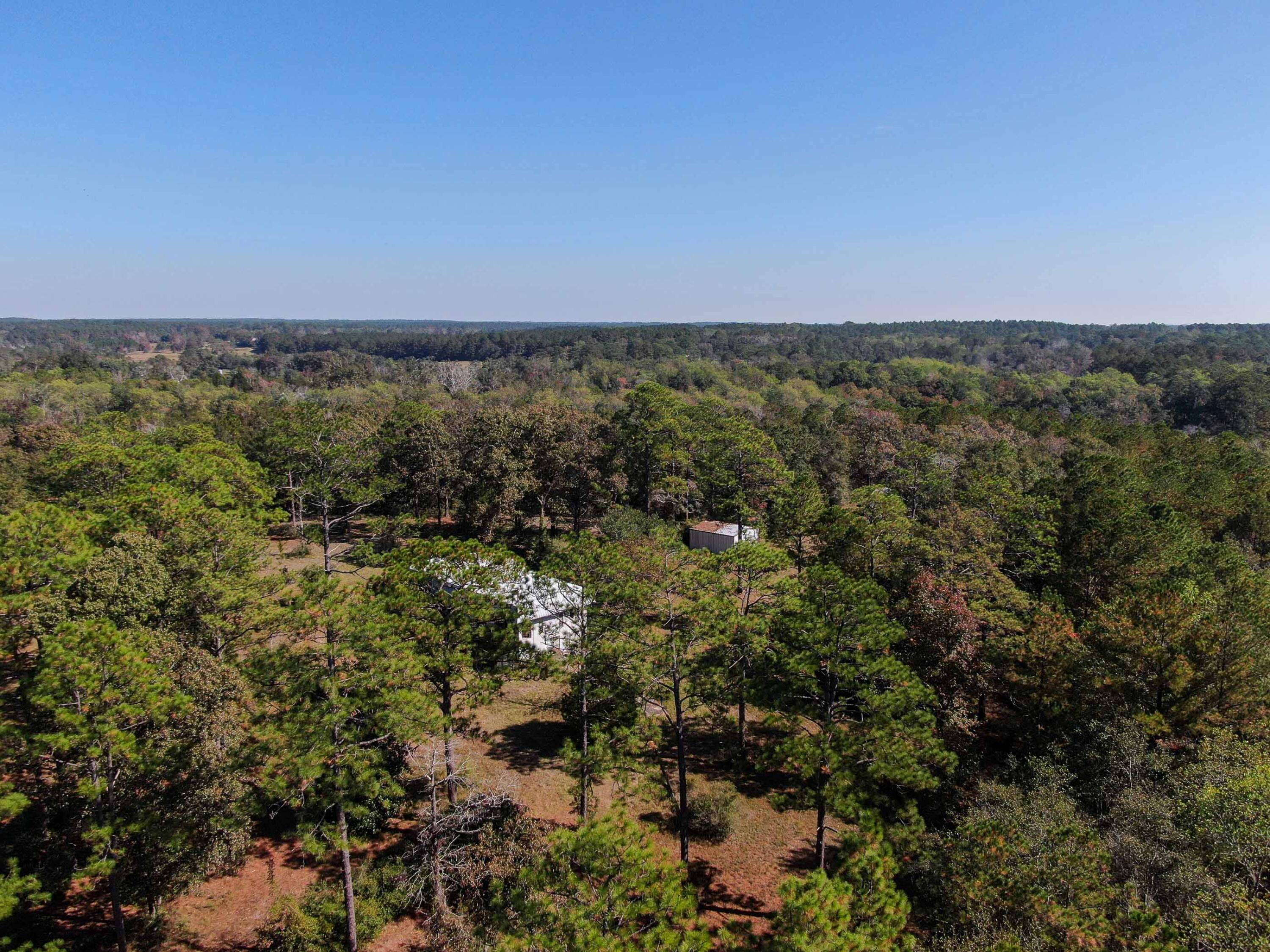 441 Charlie Garrett Road DeFuniak Springs, FL 32435 - Photo 28 of 35 DJI_0926