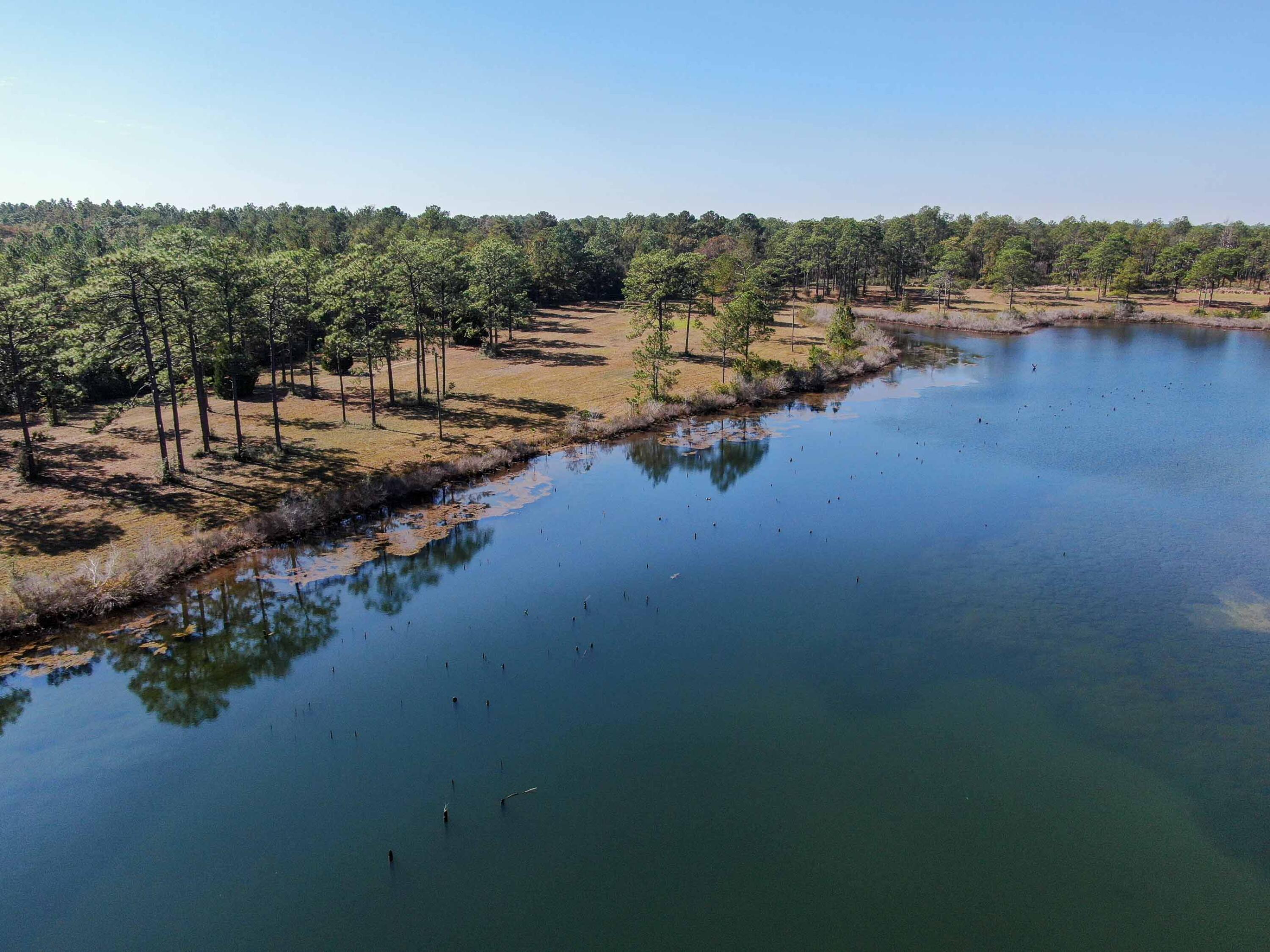 441 Charlie Garrett Road DeFuniak Springs, FL 32435 - Photo 3 of 35 DJI_0064