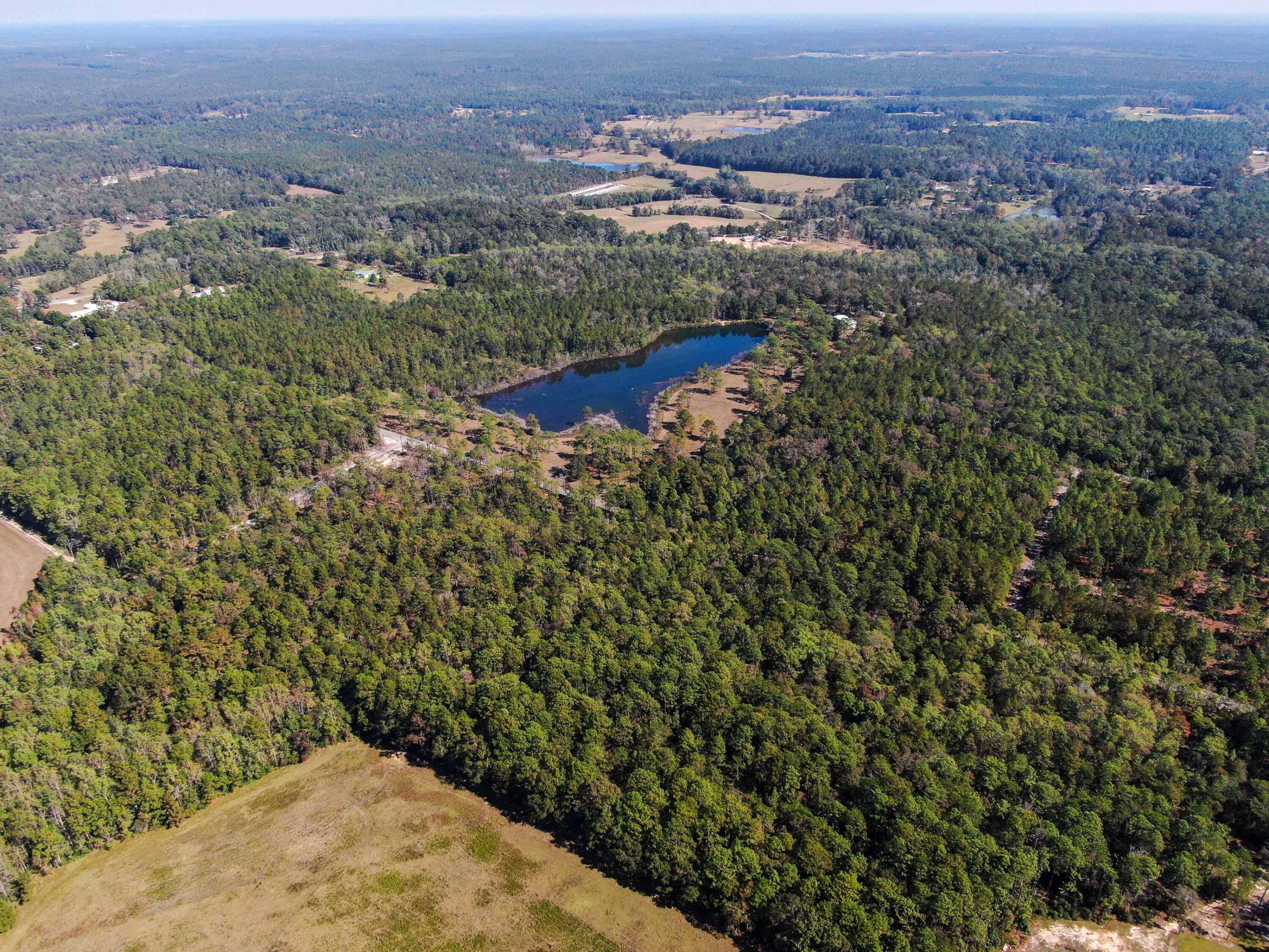 441 Charlie Garrett Road DeFuniak Springs, FL 32435 - Photo 32 of 35 DJI_0974