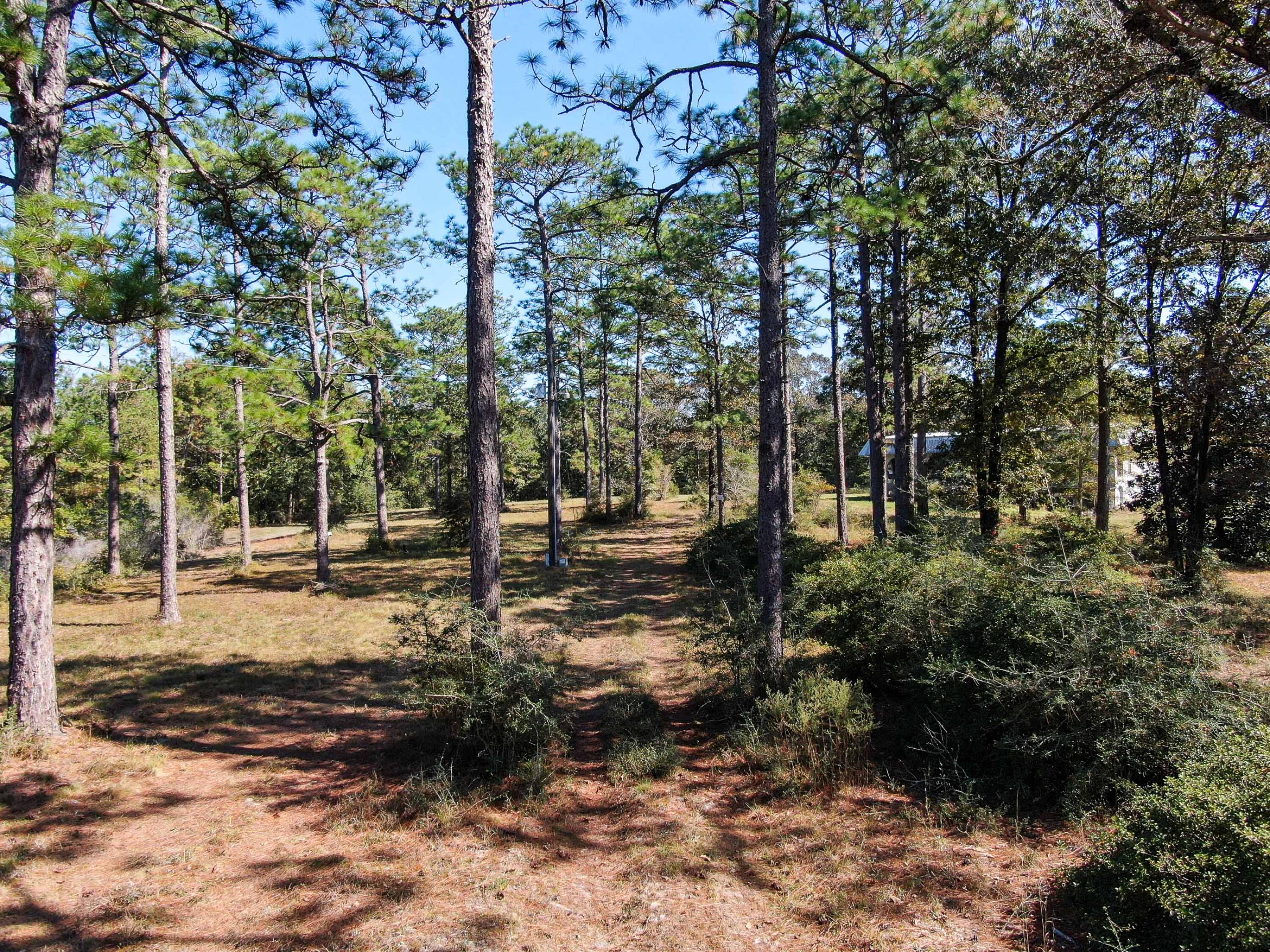 441 Charlie Garrett Road DeFuniak Springs, FL 32435 - Photo 34 of 35 DJI_0998