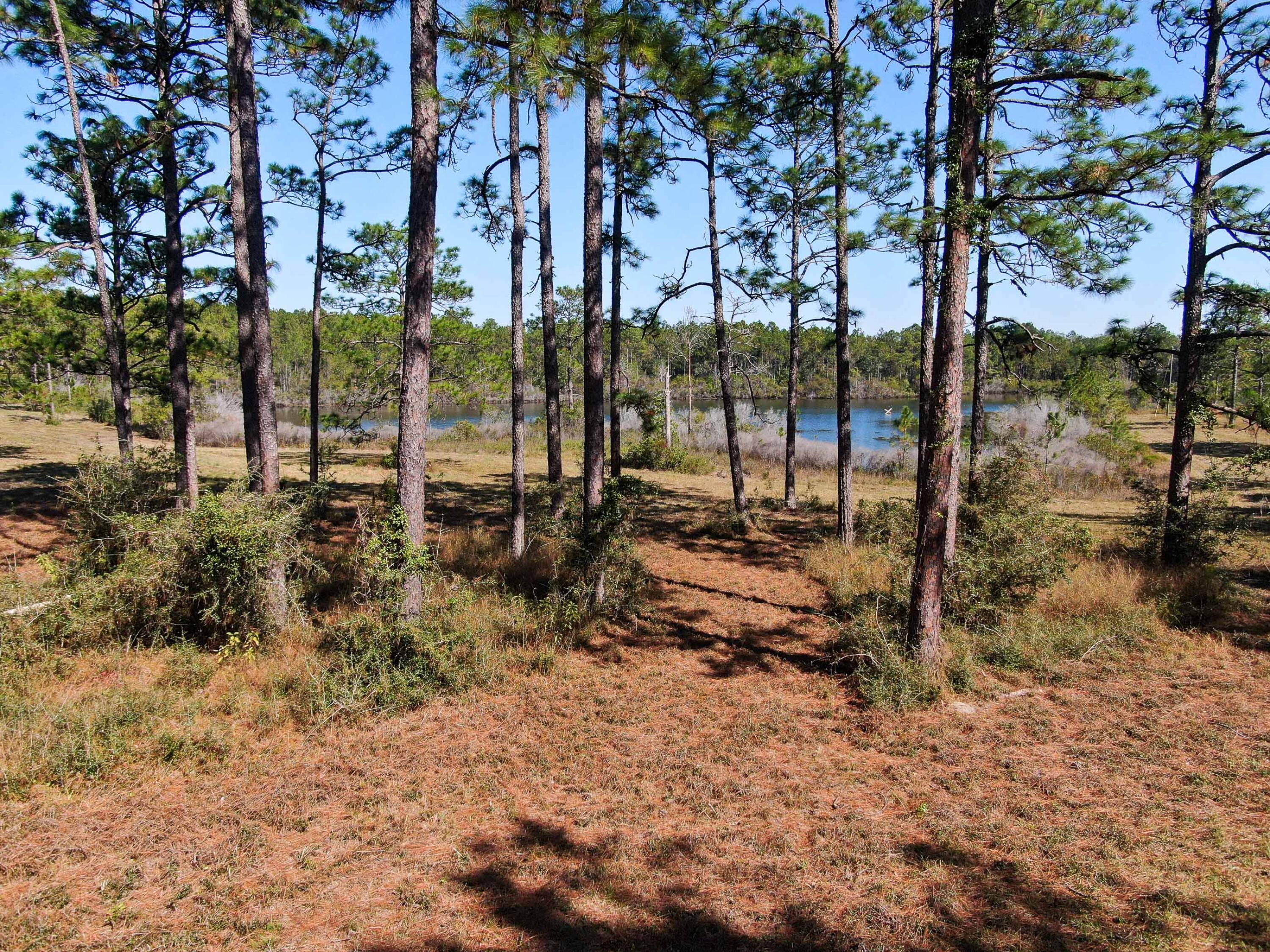 441 Charlie Garrett Road DeFuniak Springs, FL 32435 - Photo 4 of 35 DJI_0089