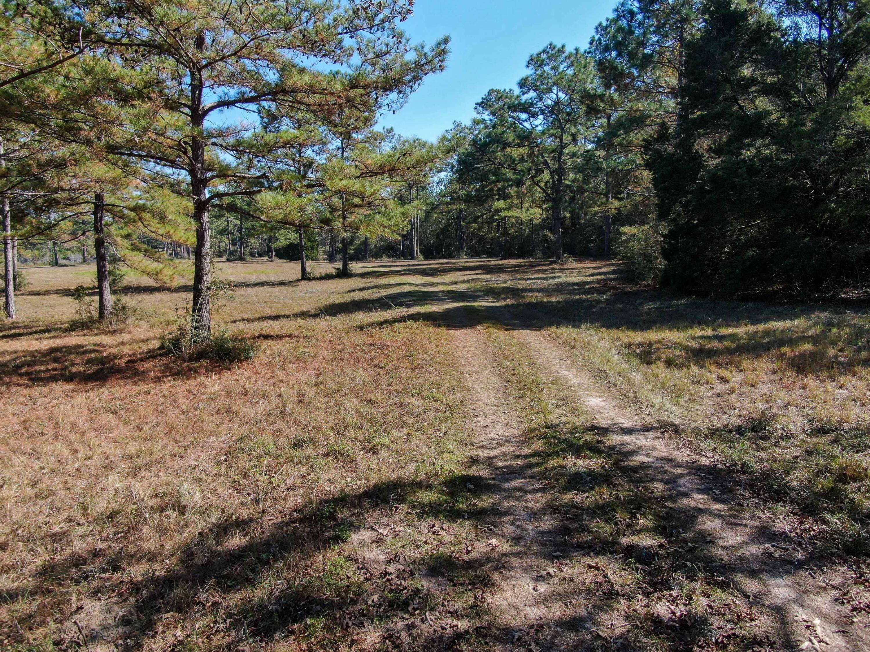 441 Charlie Garrett Road DeFuniak Springs, FL 32435 - Photo 6 of 35 DJI_0095
