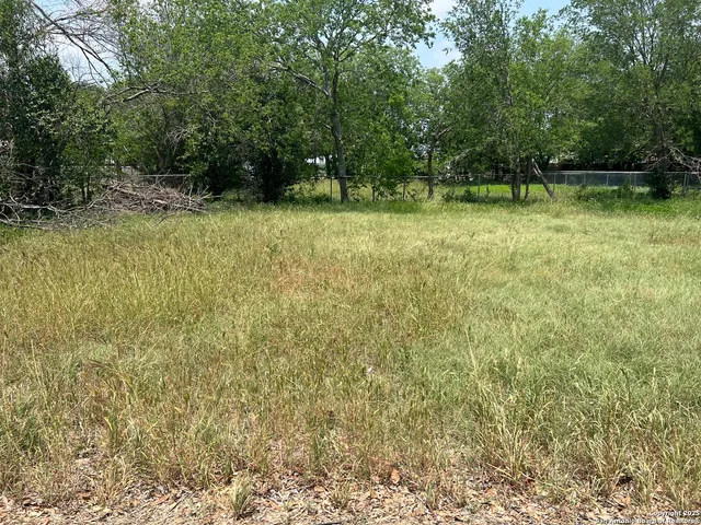 a backyard of a house with lots of plants and tree