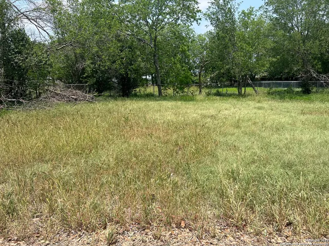 a view of outdoor space with a garden and trees