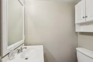 a bathroom with a sink and a toilet