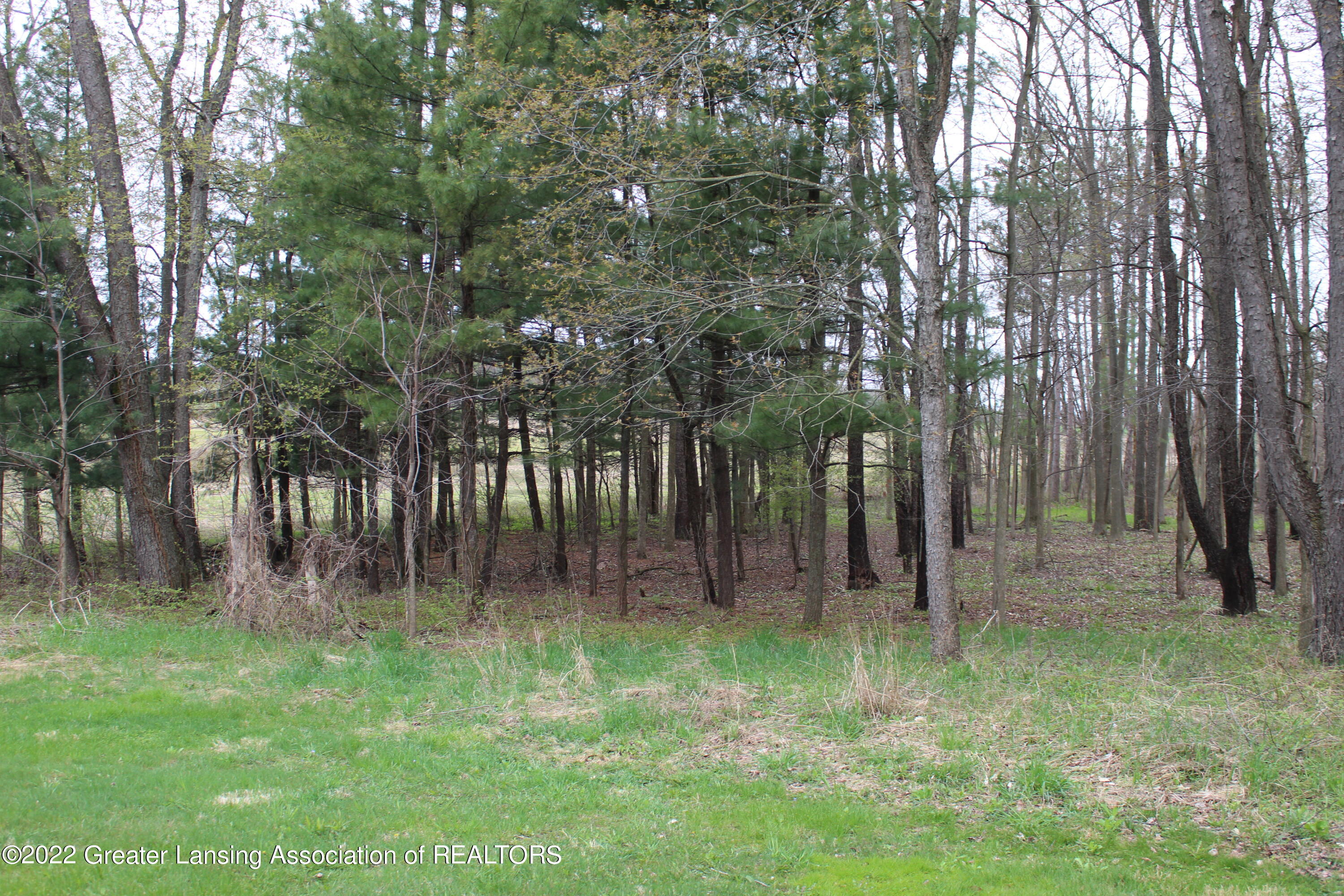 606 South Chester Road Charlotte, MI 48813 - Photo 35 of 36 IMG_3008