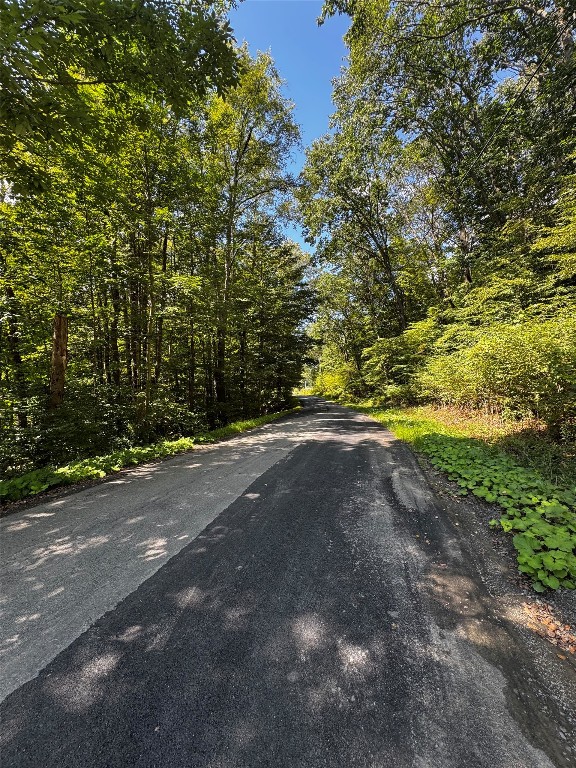 40 Cascade Valley Road Windsor, NY 13865 - Photo 11 of 16