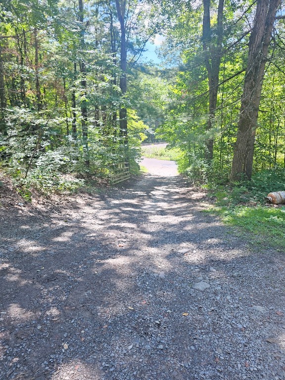 40 Cascade Valley Road Windsor, NY 13865 - Photo 12 of 16