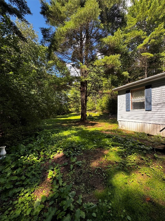 40 Cascade Valley Road Windsor, NY 13865 - Photo 2 of 16