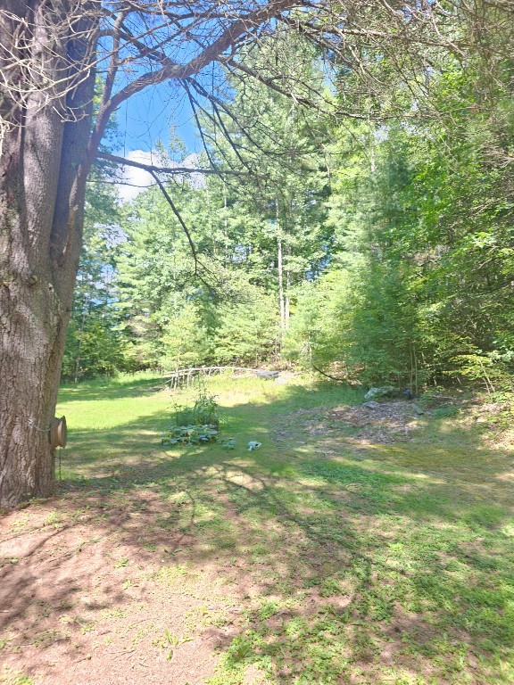40 Cascade Valley Road Windsor, NY 13865 - Photo 5 of 16
