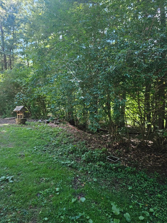 40 Cascade Valley Road Windsor, NY 13865 - Photo 6 of 16