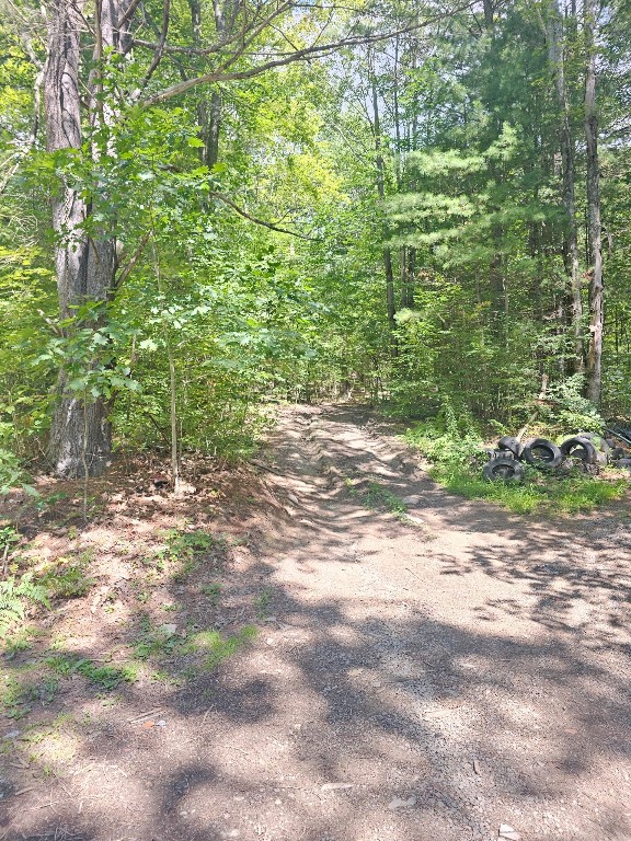 40 Cascade Valley Road Windsor, NY 13865 - Photo 8 of 16