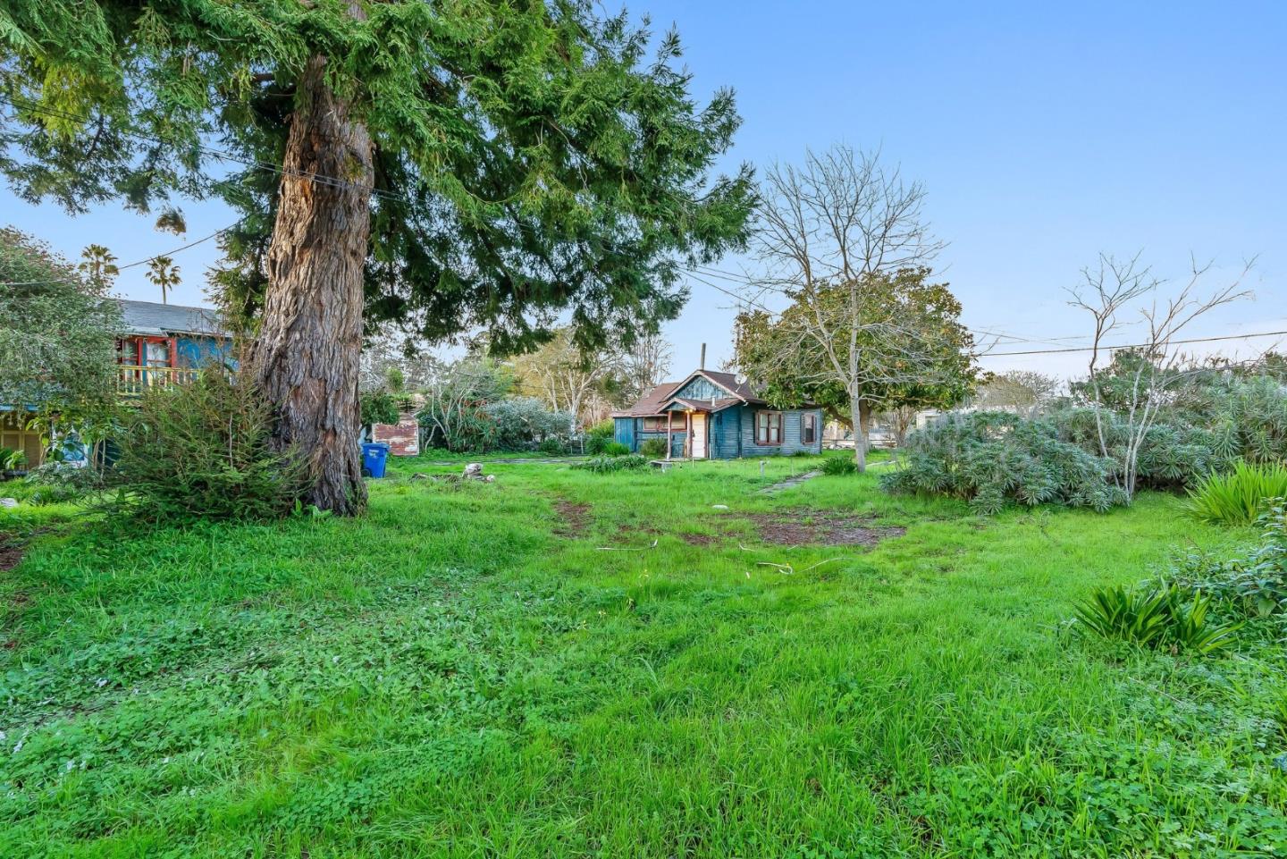 1430 Merrill Street Santa Cruz, CA 95062 - Photo 8 of 40 a view of a garden with a tree in the background