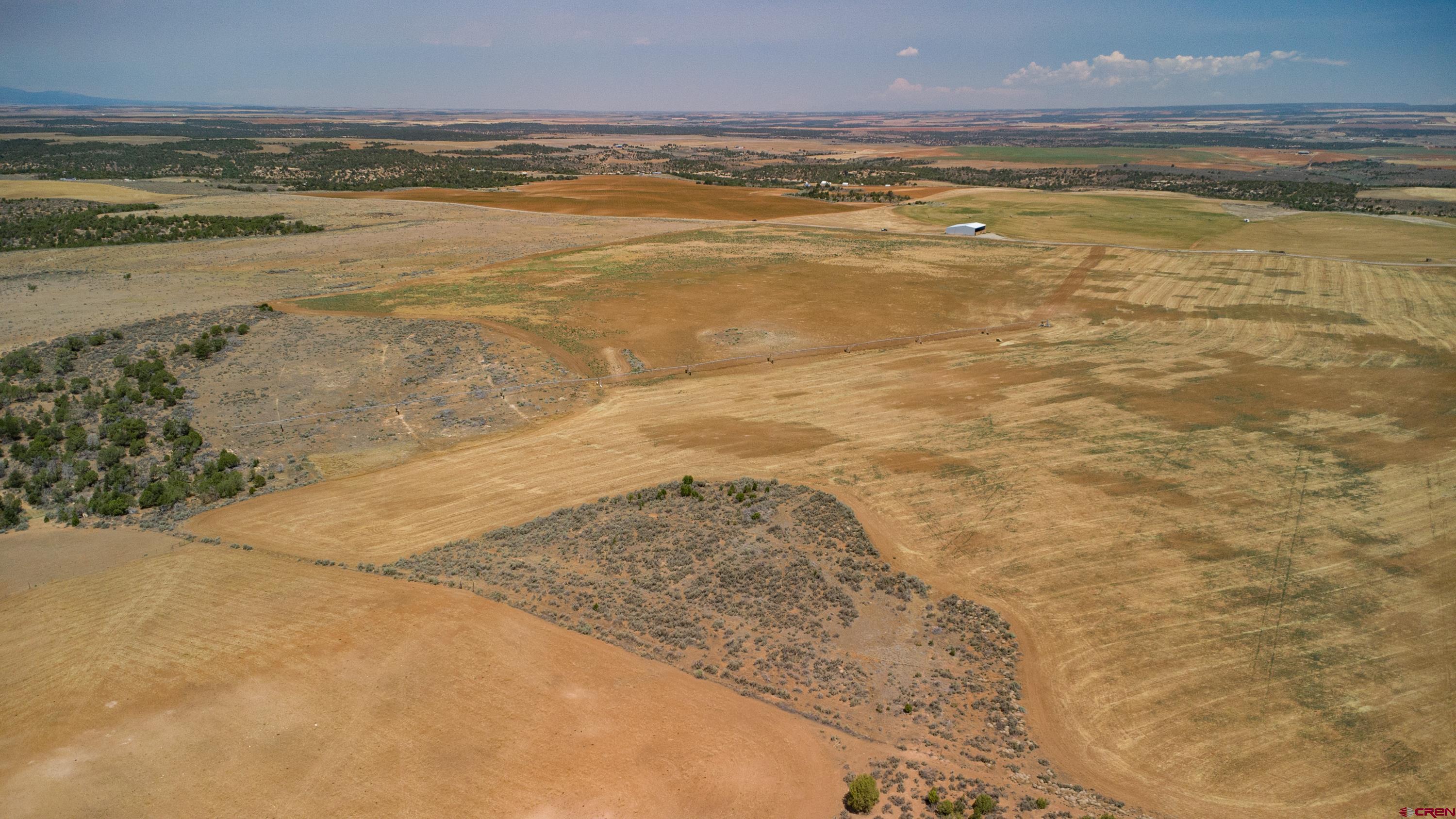 Tbd Tbd Road Pleasant View, CO 81331 - Photo 10 of 17