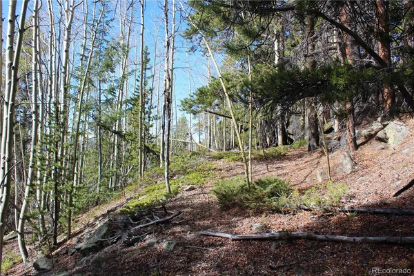 a view of backyard