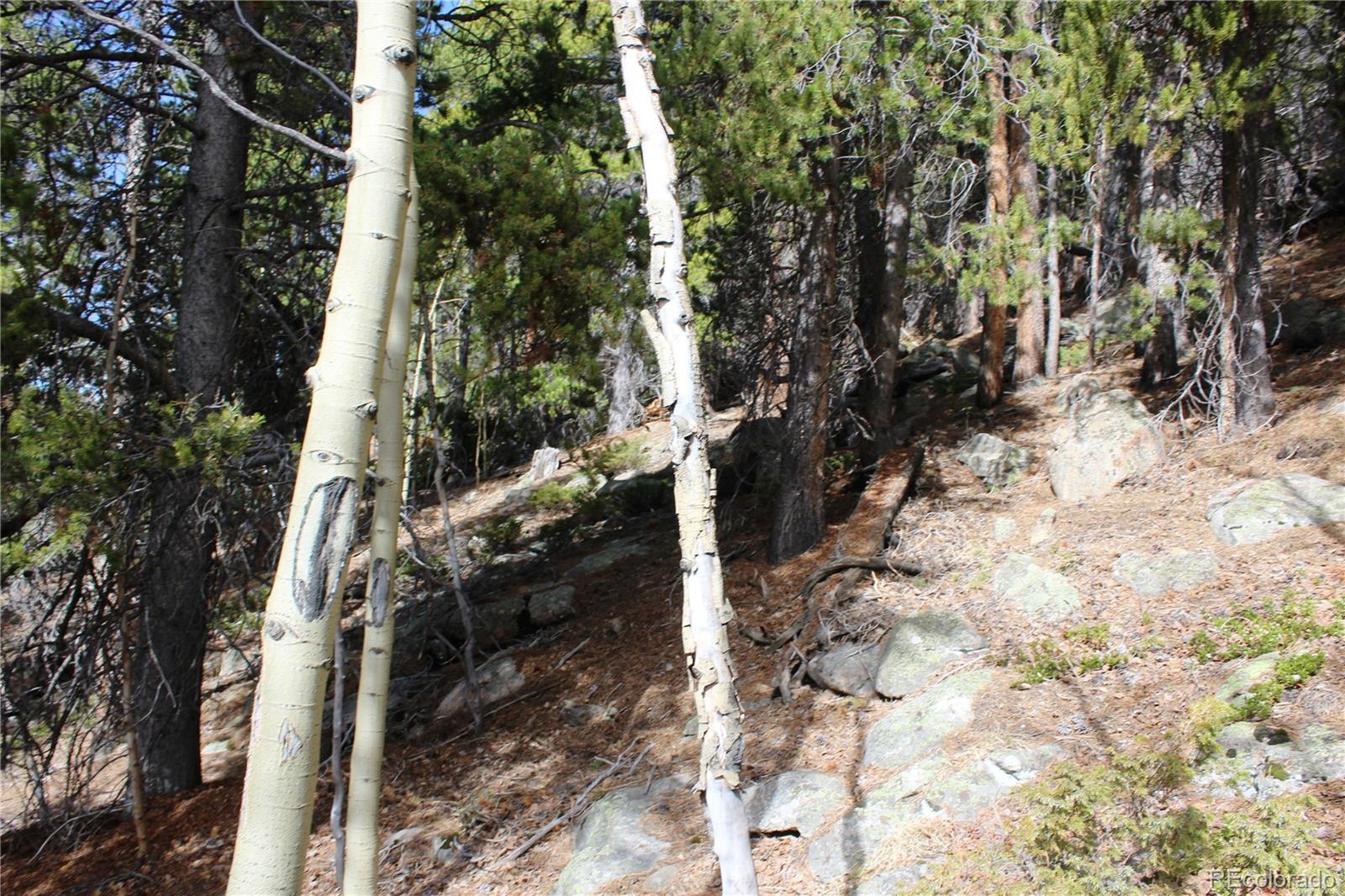 4-2 Lamartine Road Idaho Springs, CO 80452 - Photo 15 of 23