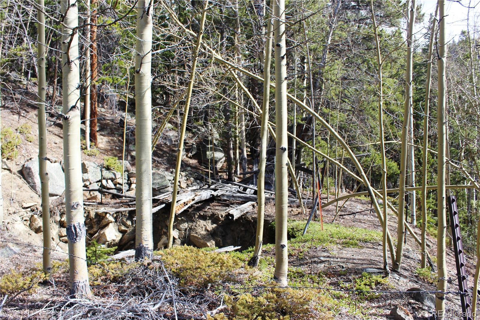 4-2 Lamartine Road Idaho Springs, CO 80452 - Photo 6 of 23 a view of a garden