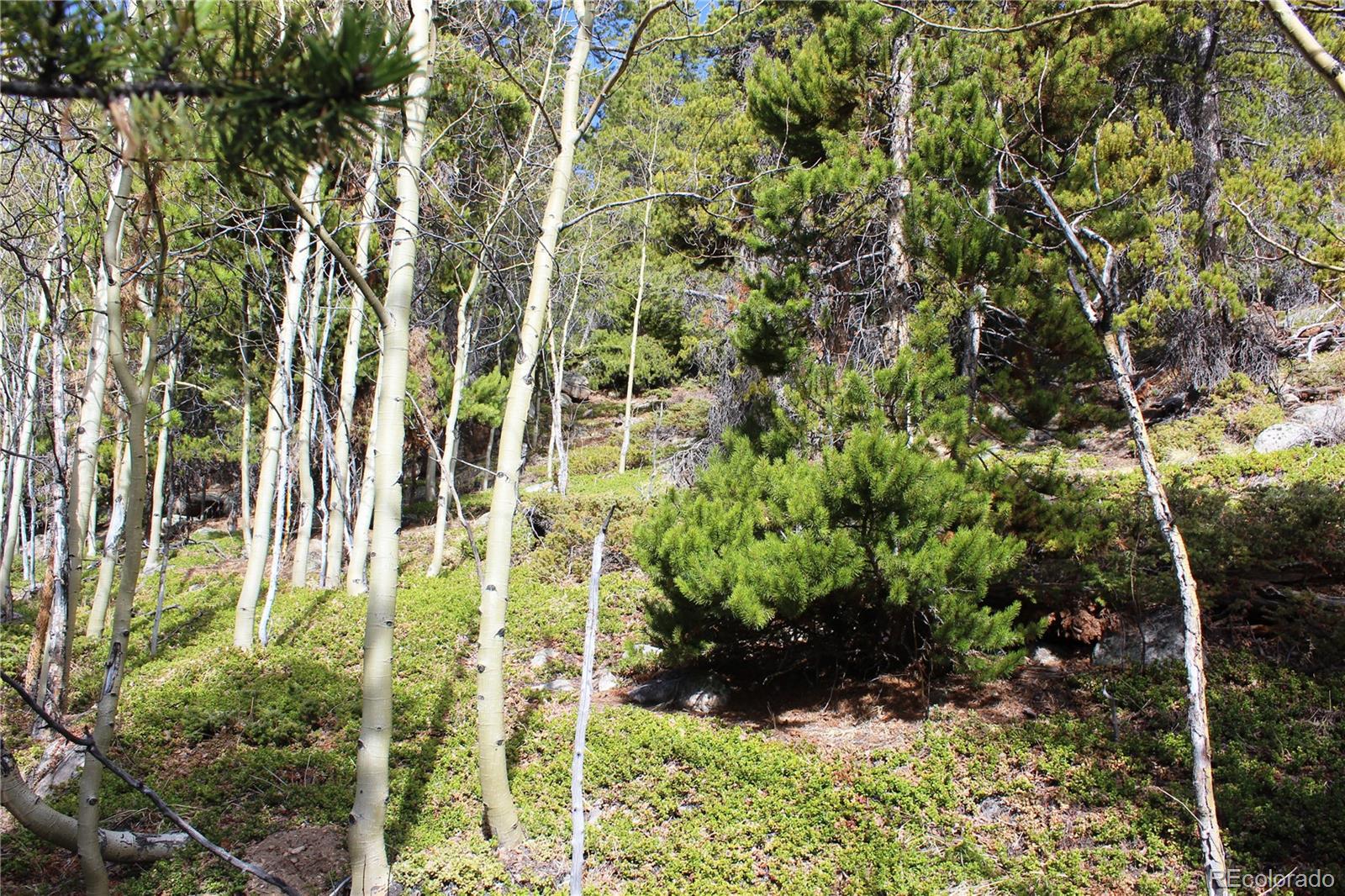 4-2 Lamartine Road Idaho Springs, CO 80452 - Photo 10 of 23 a view of outdoor space