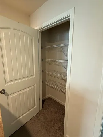 a view of a street with a large trees