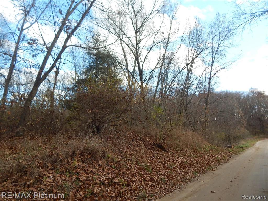 0 Bentley Lake Road Pinckney, MI 48169 - Photo 23 of 24