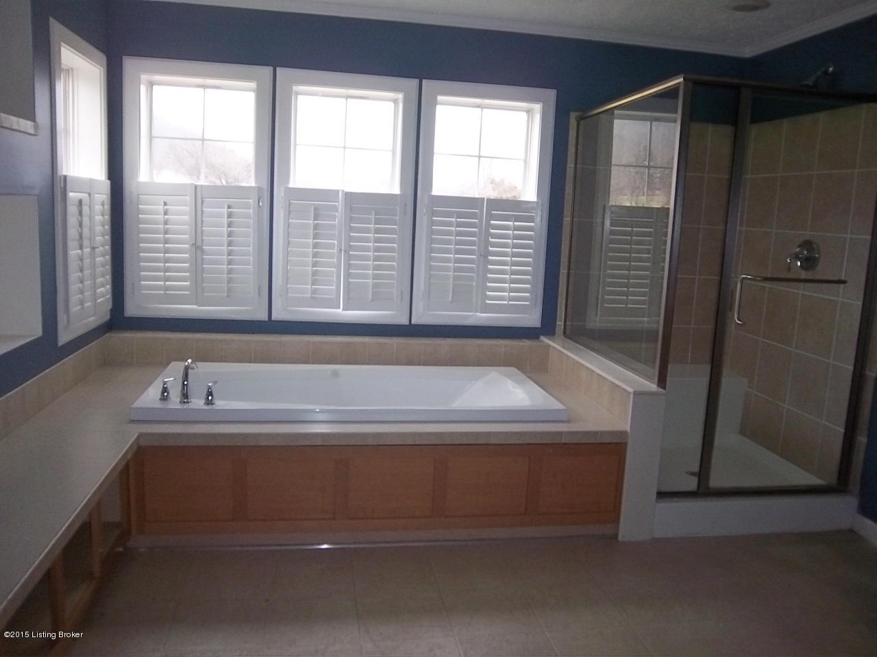 551 Shady Lane Boston, KY 40107 - Photo 10 of 26 shady lane master bath tub