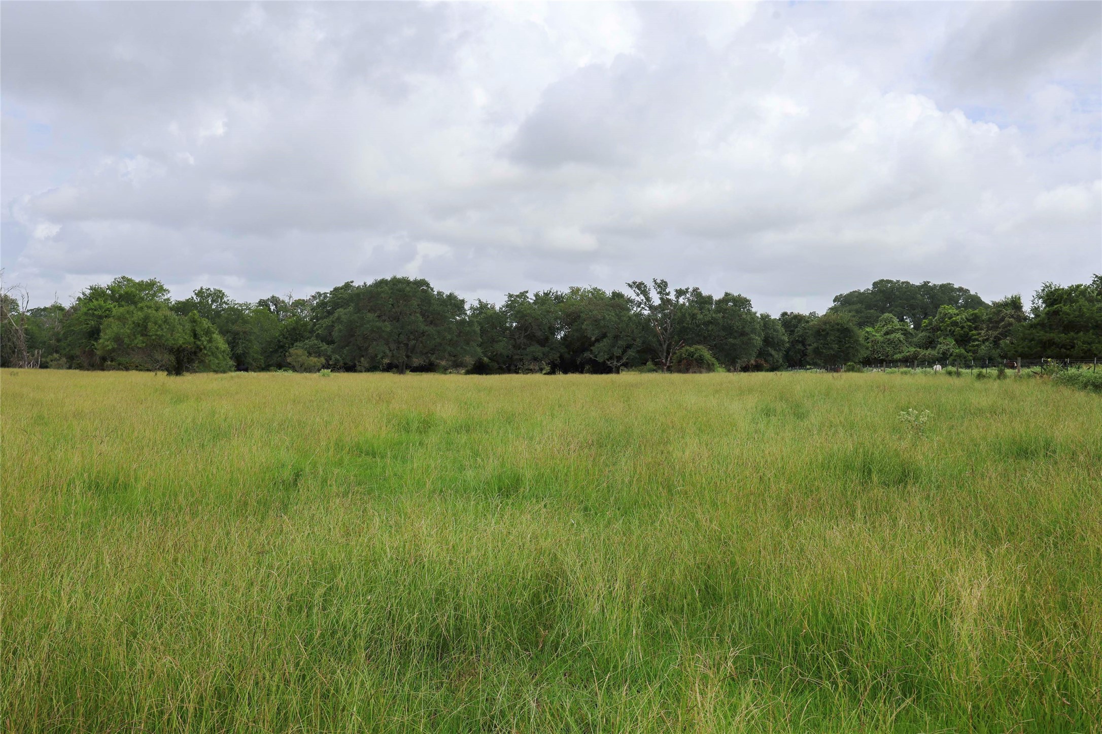1340 Cr 253 Road Weimar, TX 78962 - Photo 4 of 18