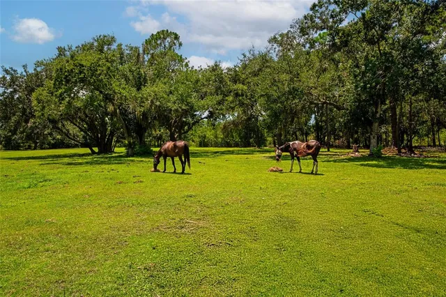 $1,225,000 | 15210 Water Line Srv Road, Bradenton, FL 34212