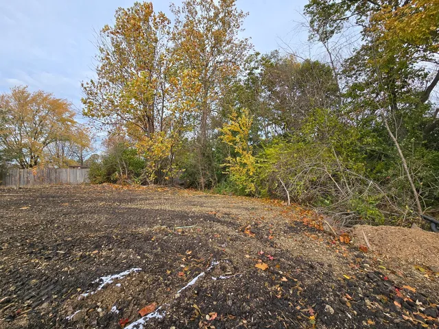 a view of a yard with a tree