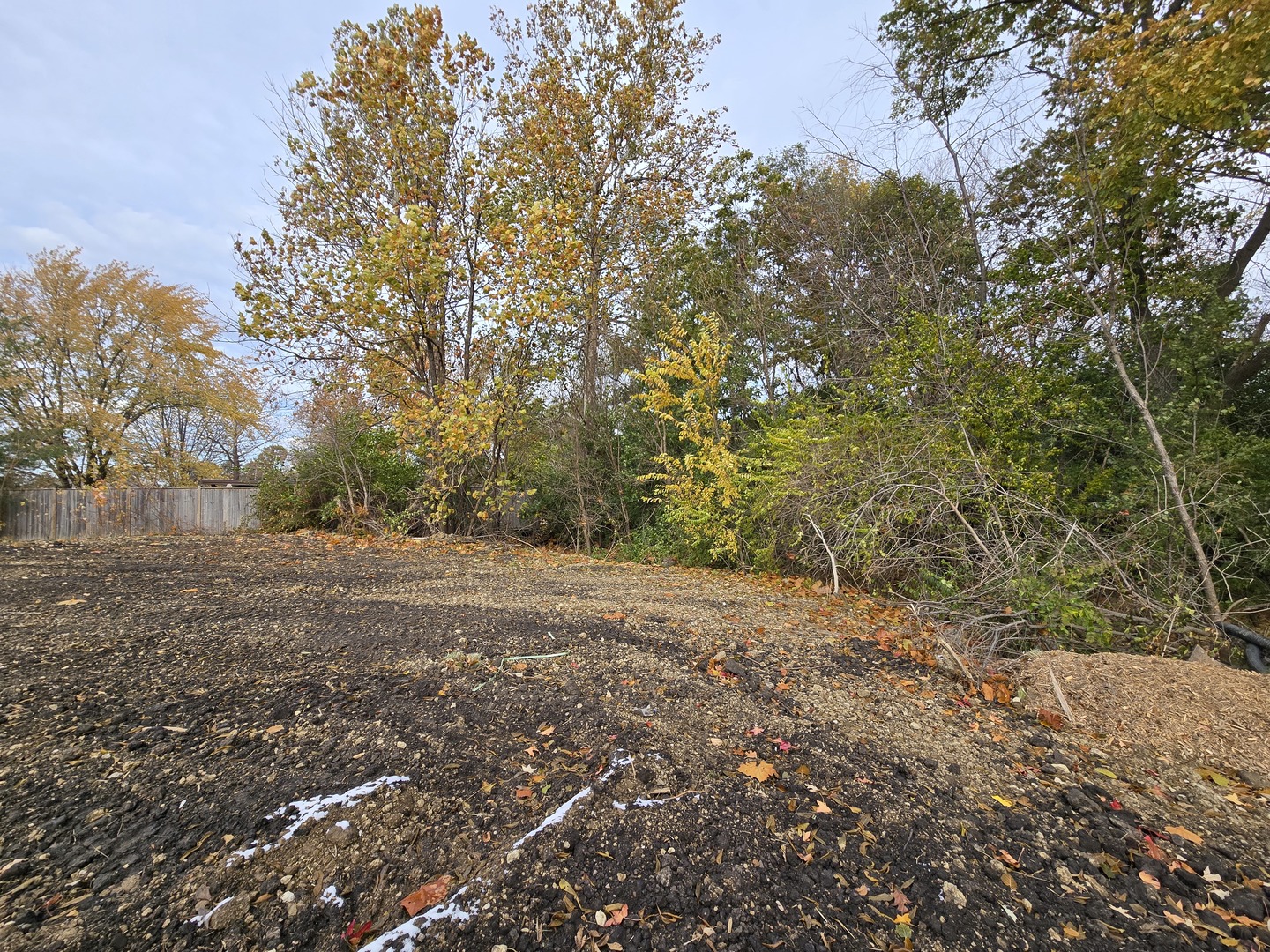 1901 South Main Street Lombard, IL 60148 - Photo 3 of 5 a view of a yard with a tree