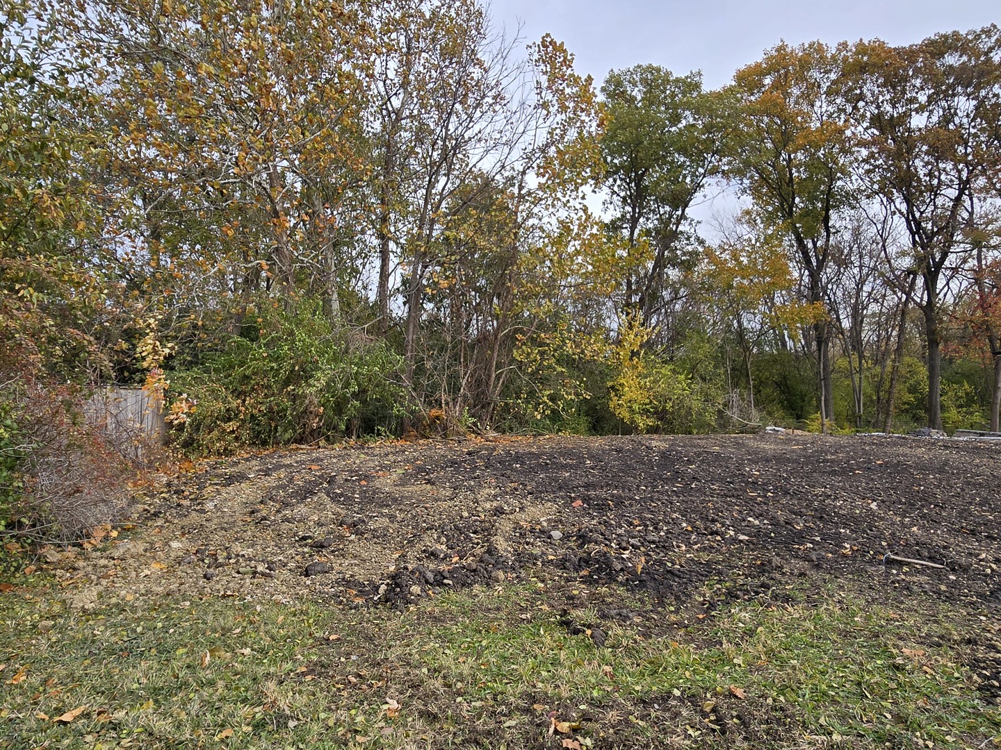 1901 South Main Street Lombard, IL 60148 - Photo 4 of 5 a view of a yard with a tree