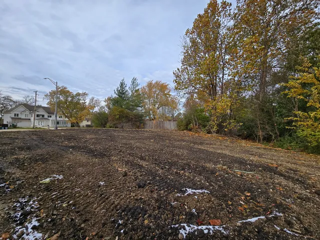 a view of dirt field with large trees