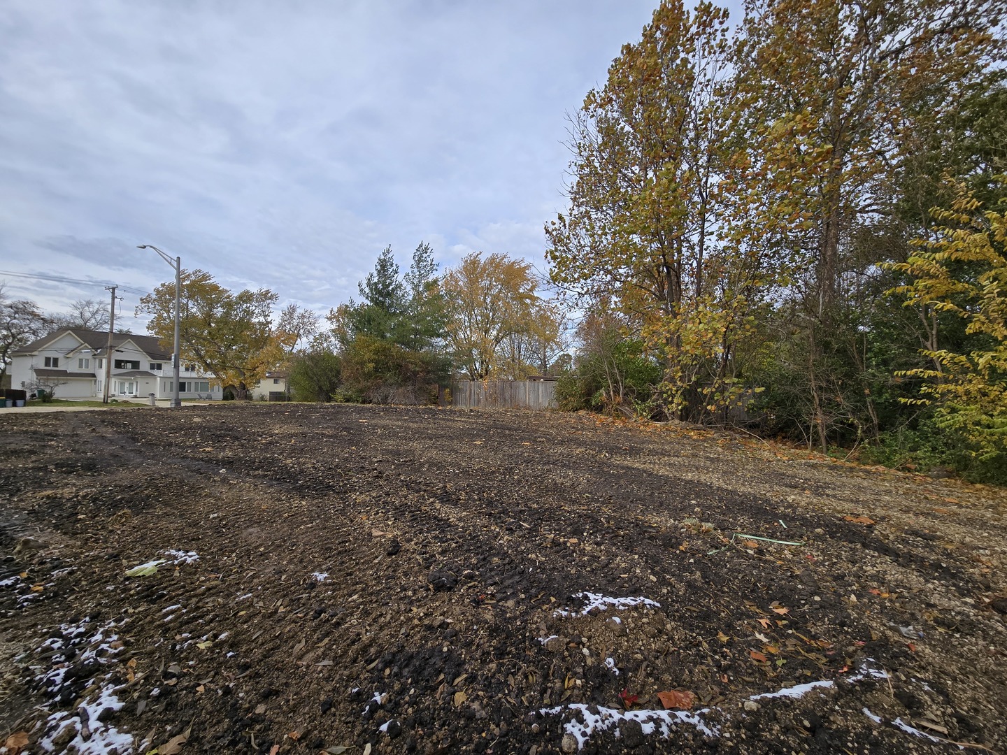 1901 South Main Street Lombard, IL 60148 - Photo 5 of 5 a view of dirt field with large trees