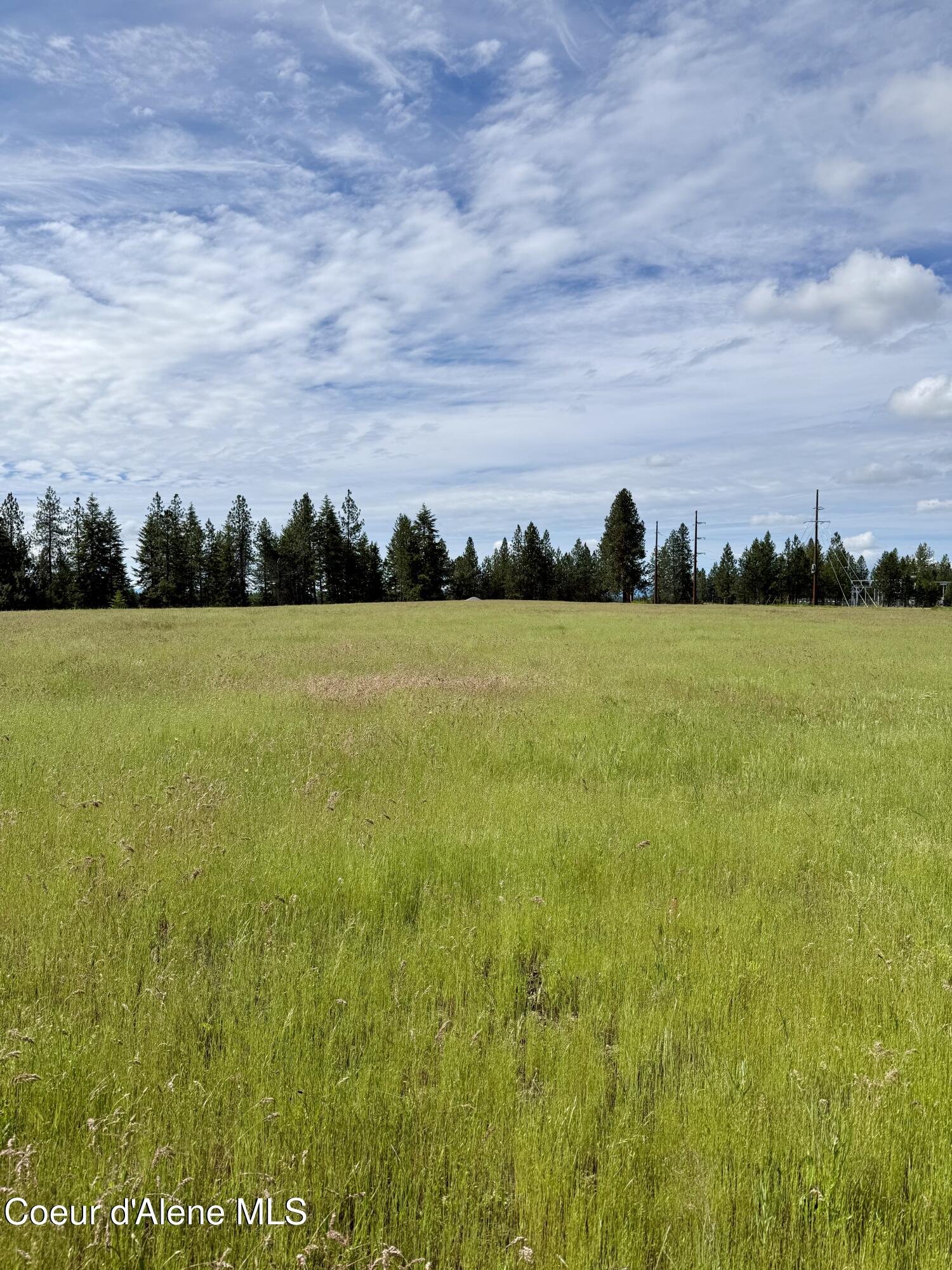 Lot 3 North Stonemason Way Rathdrum, ID 83858 - Photo 5 of 8 Open lot with level acreage.