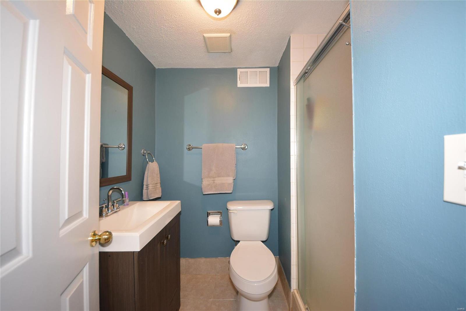 3 Mill Side Court St. Peters, MO 63376 - Photo 21 of 33